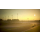Xbox F1 Manager 2023 - 1155371 - zdjęcie 3